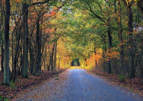 CrispinusFamiliedag 27 oktober 2019 