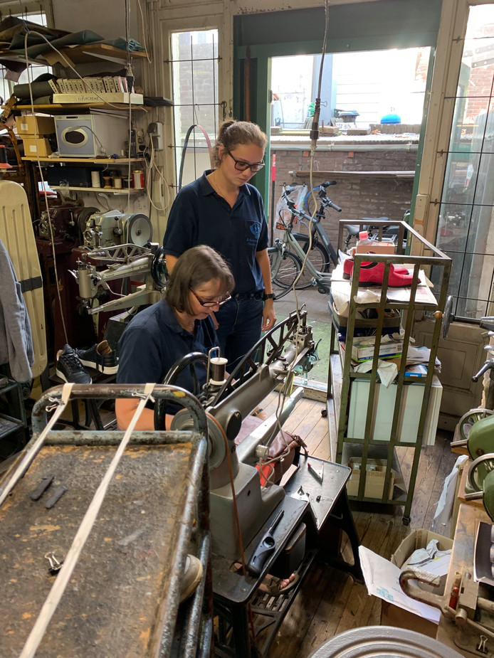 Artikel over Schoenmakerij Tweehuysen