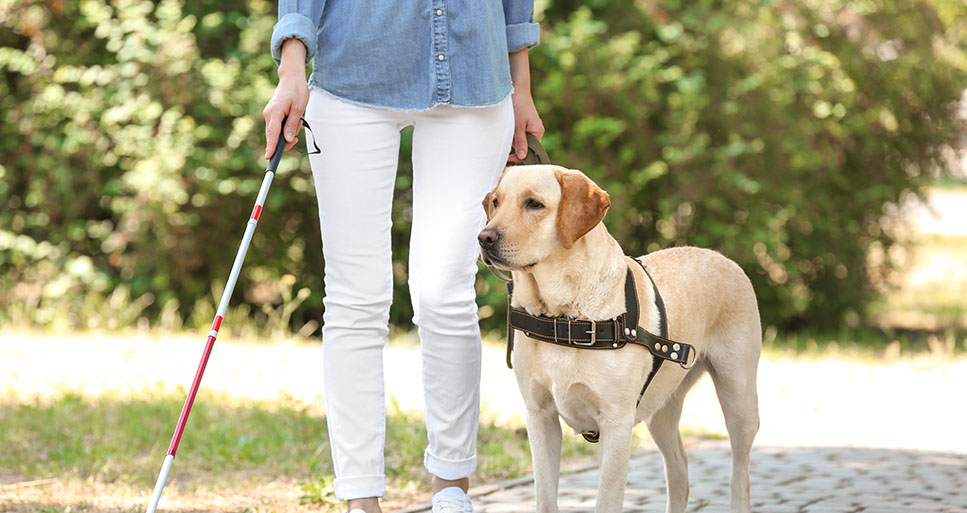 Toegankelijk ondernemen loont: 15% meer klandizie