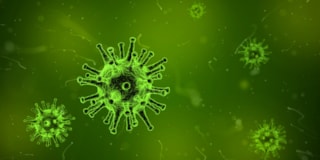 virus-1812092_1920