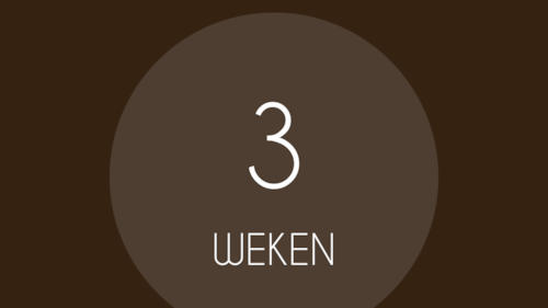 Nog 3 weken te gaan....voor de Dag van de Schoenmaker